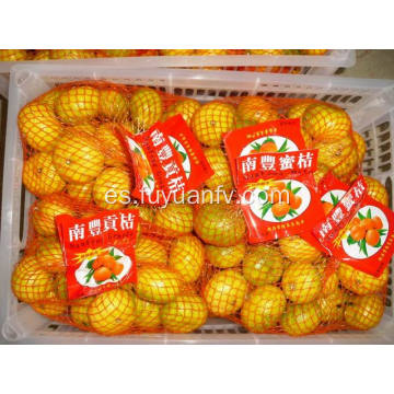 Fob shenzhen Nanfeng baby mandarin